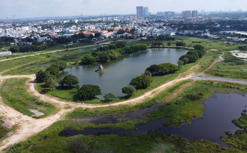 CTCP Đại Nam