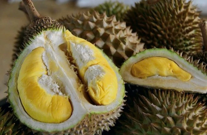 Sầu riêng Tupai King